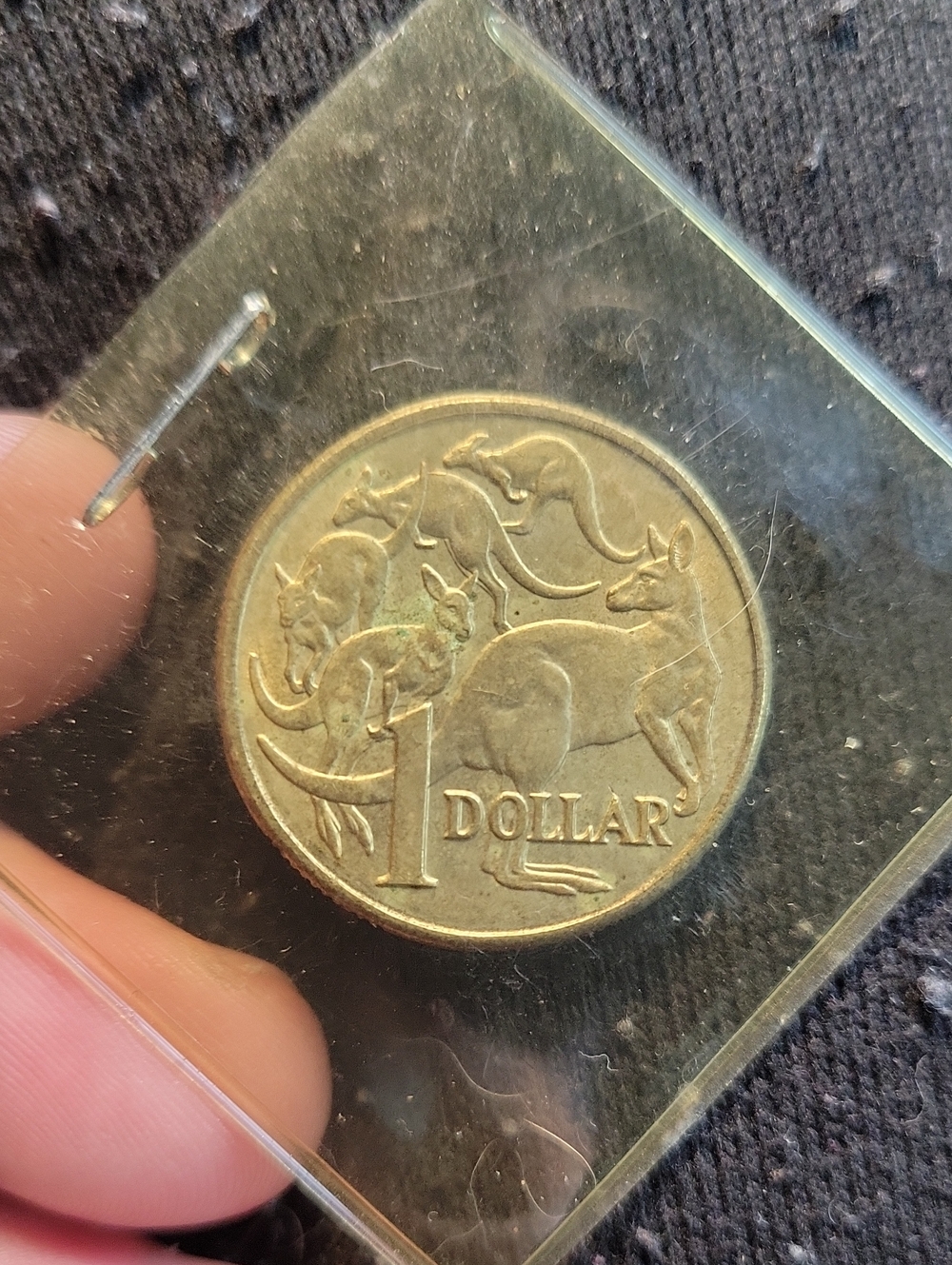 Australian 1985 One Dollar Coin Protective Sleeve - Clear